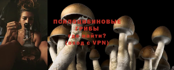 мяу мяу мука Беломорск