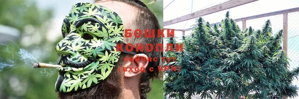 мяу мяу мука Беломорск