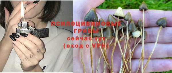мяу мяу мука Беломорск