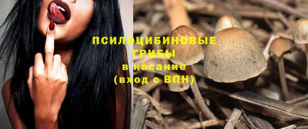 мяу мяу мука Беломорск