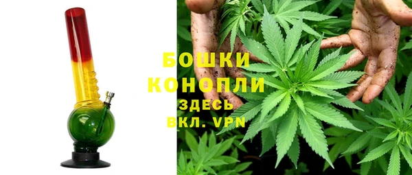 spice Белокуриха